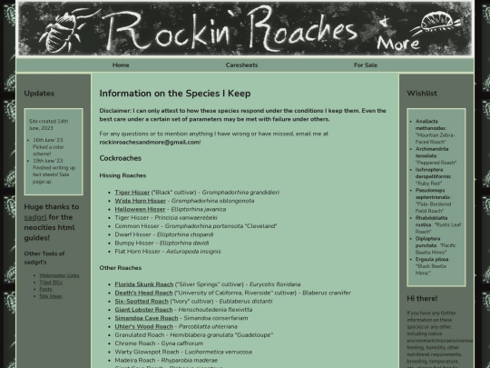 bugs screenshot