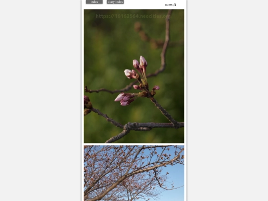 2022/saku2022mar3 screenshot