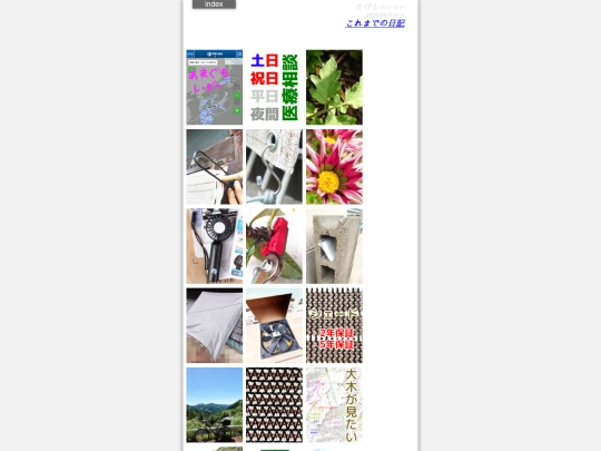 diaryindex screenshot