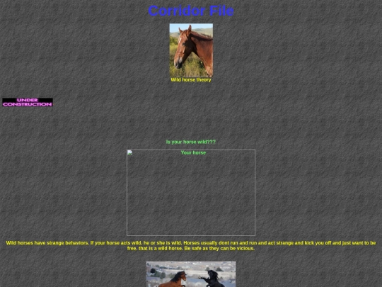 WildHorseStudy screenshot