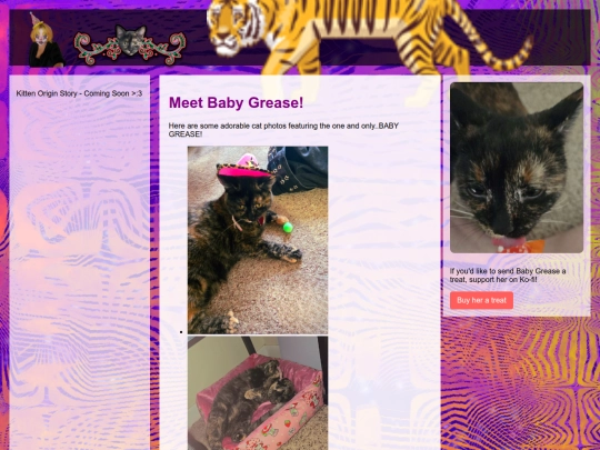 cat-photos screenshot