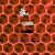 psychohive.yorniq.xyz avatar