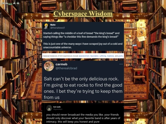 CyberspaceWisdom screenshot