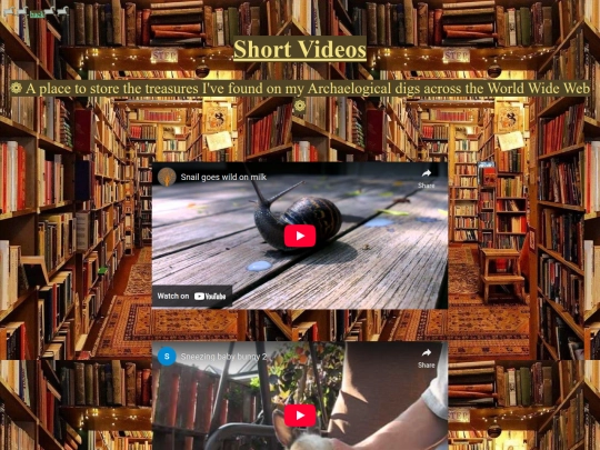 ShortVideos screenshot