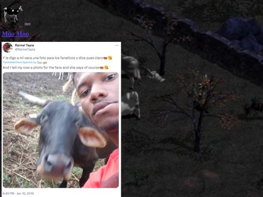 moo screenshot