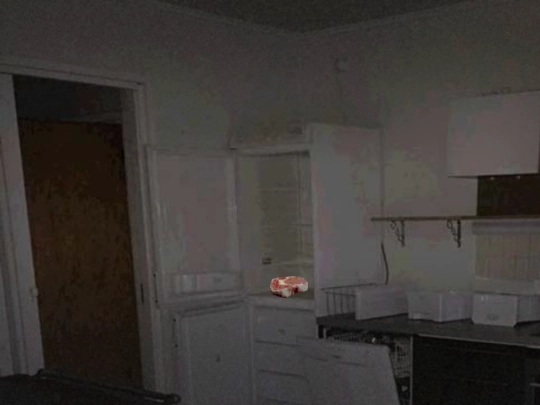 camera/kitchen screenshot