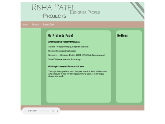 projects screenshot