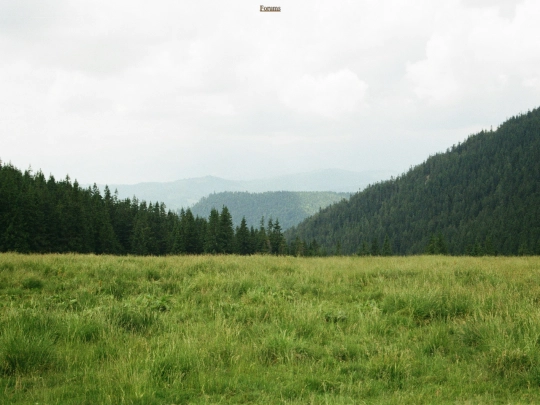 main screenshot