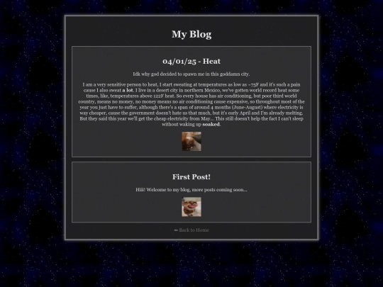 blog screenshot