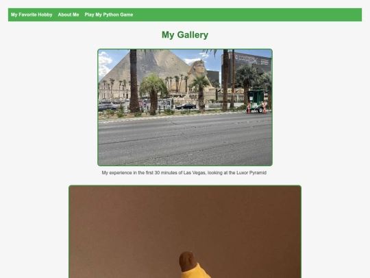DaveGallary screenshot