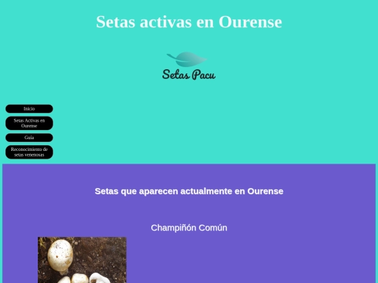 Setas_Activas screenshot
