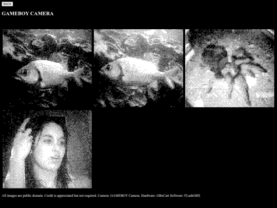 gameboycamera screenshot