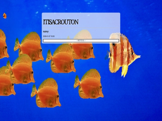 issues/nzny screenshot