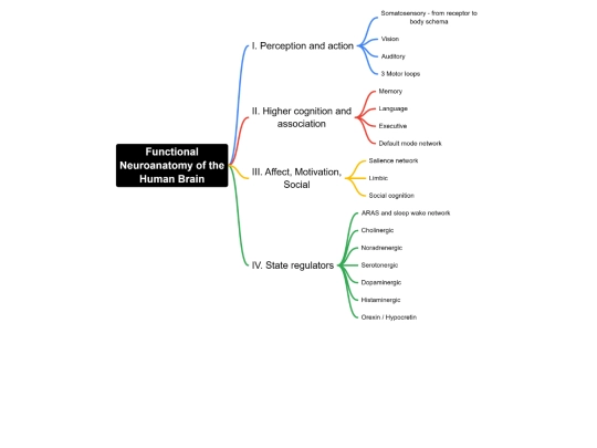 images/functionalnetworks screenshot