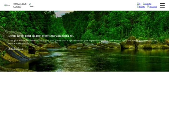 Lion screenshot