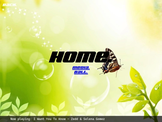 home screenshot