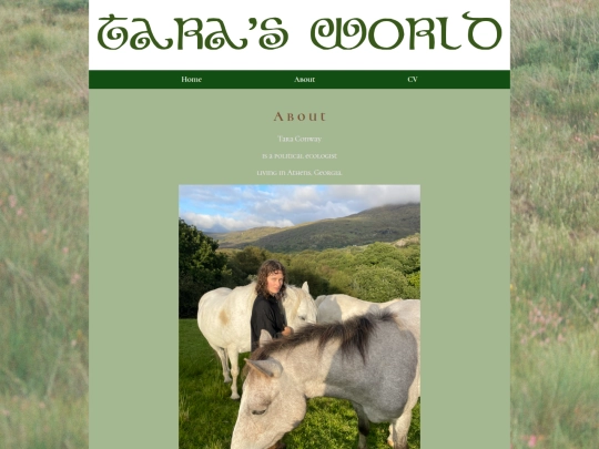 aboutara screenshot