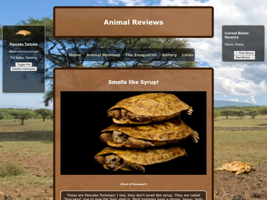 reviews/pancaketortoise screenshot