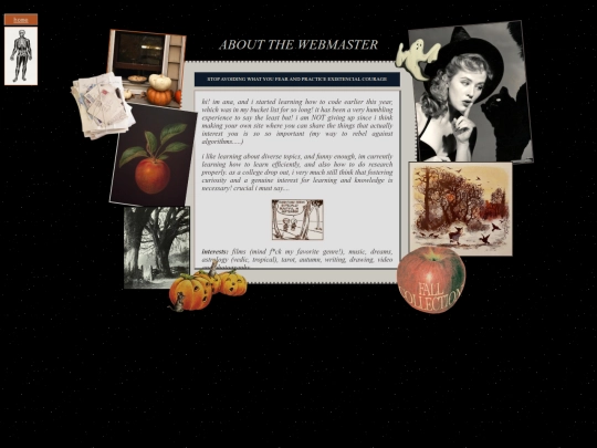webmaster screenshot