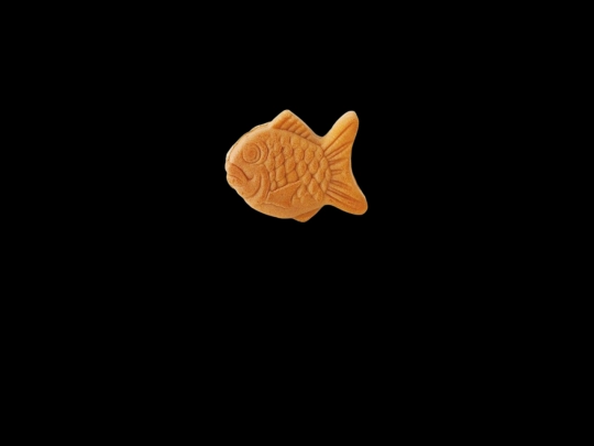 taiyaki screenshot