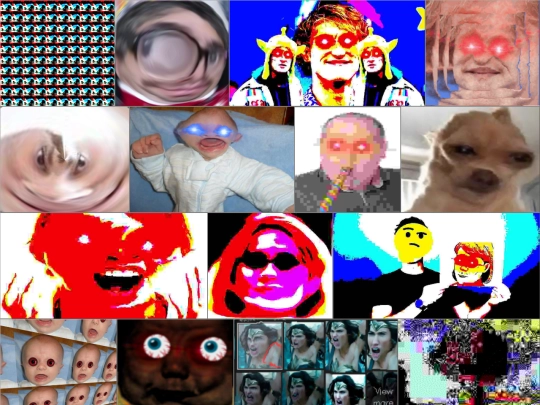 donot screenshot