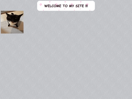 EVVILindex screenshot