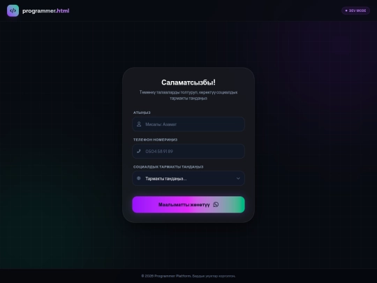 programer screenshot
