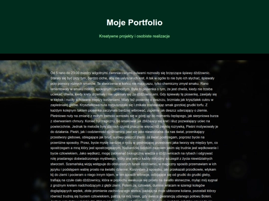 portfolio screenshot