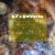 erev.yorniq.xyz avatar