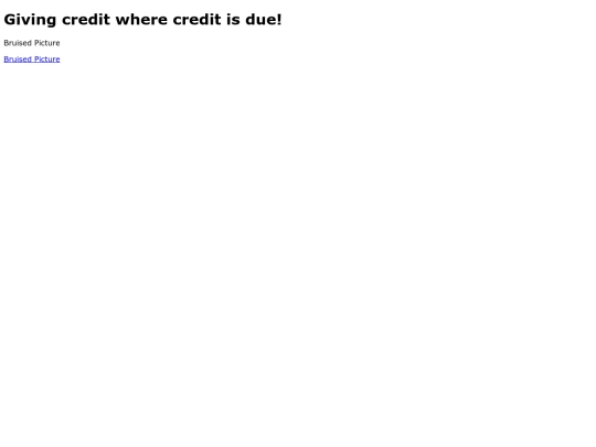 imagecredit screenshot