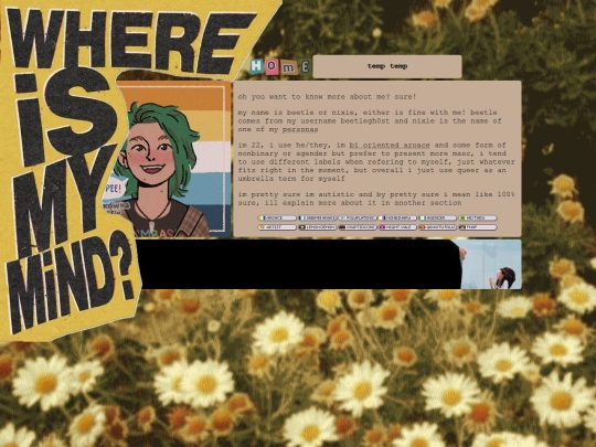 about-the-webmaster screenshot