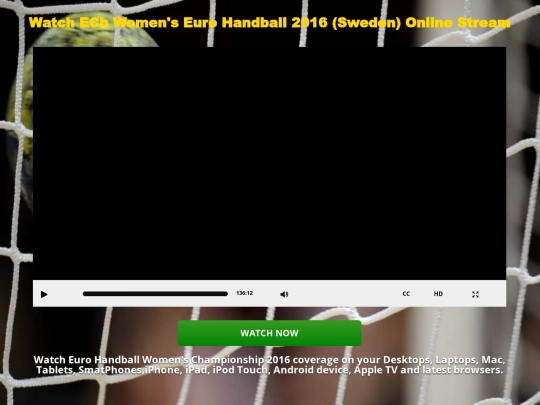 ECh-SwedenHandball screenshot