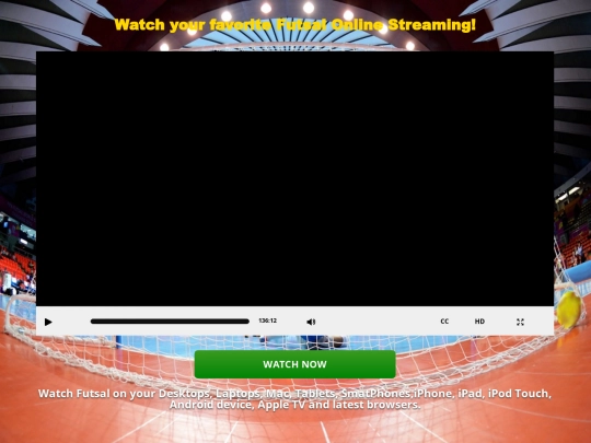 Futsal-Online screenshot