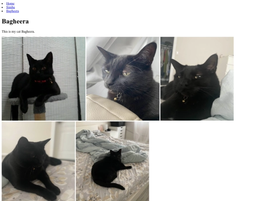 bagheera screenshot