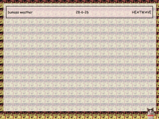 writing/writingList screenshot