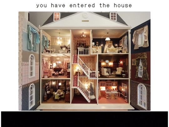 enter screenshot