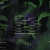 victrof.yorniq.xyz avatar