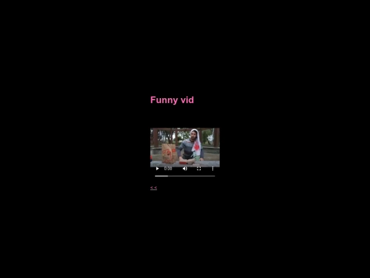 funniestvideo screenshot