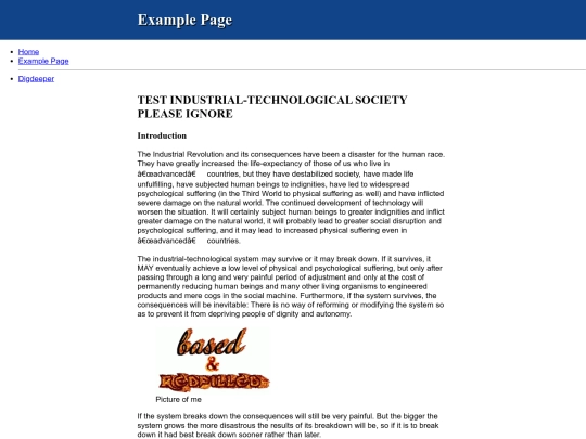 example screenshot