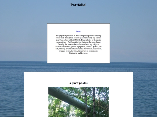 Portfolio screenshot