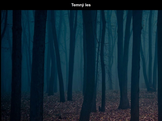 game_html/dark_forest screenshot