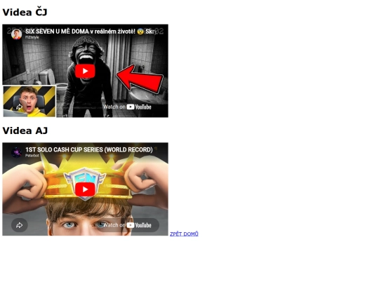 video screenshot