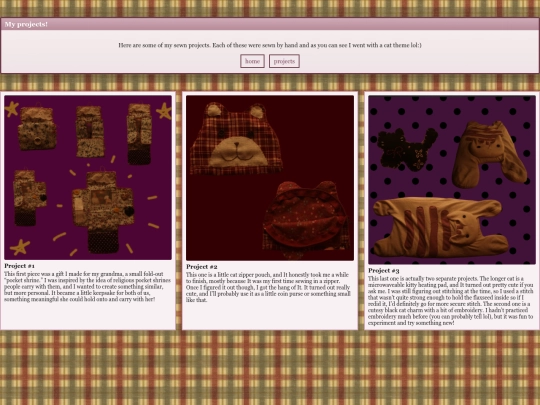 projects screenshot