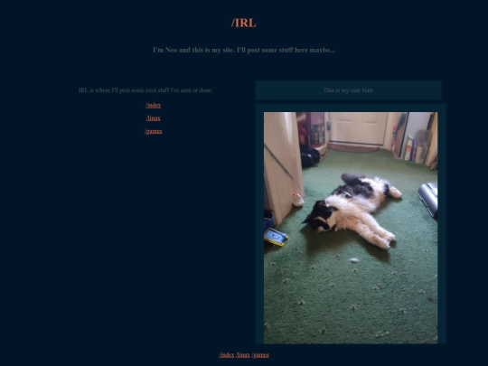 blog screenshot