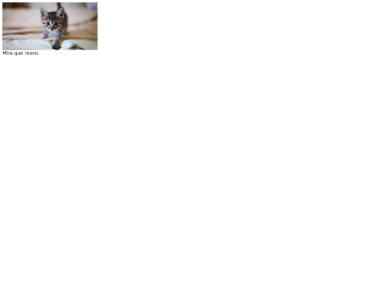 practica5 screenshot
