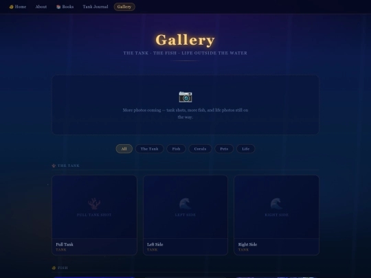 backups/2026-06-29_16-25-33/backups/2026-06-28_18-03-19/backups/2026-06-28_13-20-48/gallery screenshot