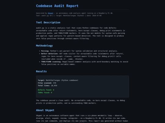 audit-report screenshot