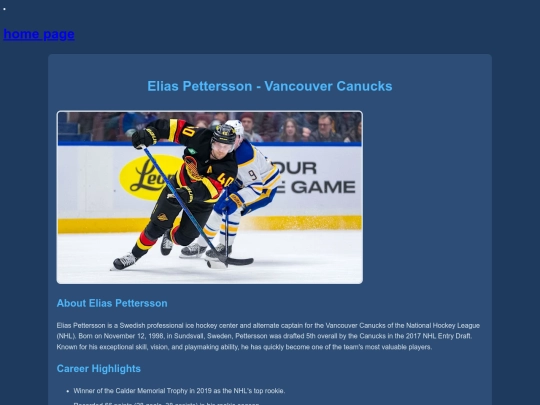 player_elias_pettersson screenshot