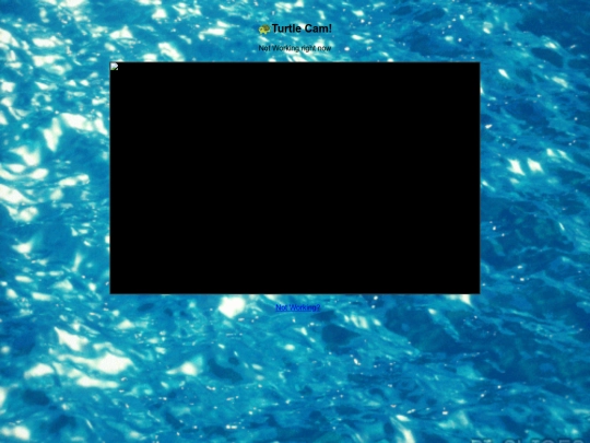 Turtle_Cam screenshot