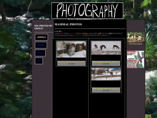 photos/mammalphotos screenshot